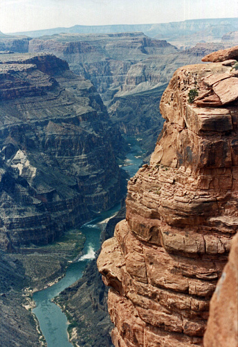 Lone pinyon pine over the Colorado River as seen from the the spectacular Toroweap edge along the North Rim of Grand Canyon National Park.