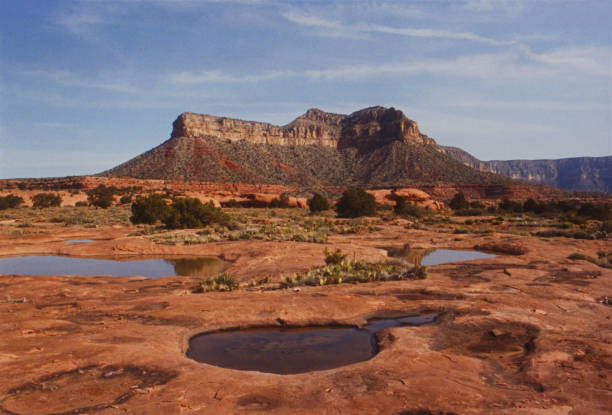 istock Waterholes below Toroweap Point 2107473996
