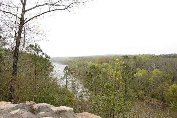 istock High Angle View Of Cape Fear River 2107474269