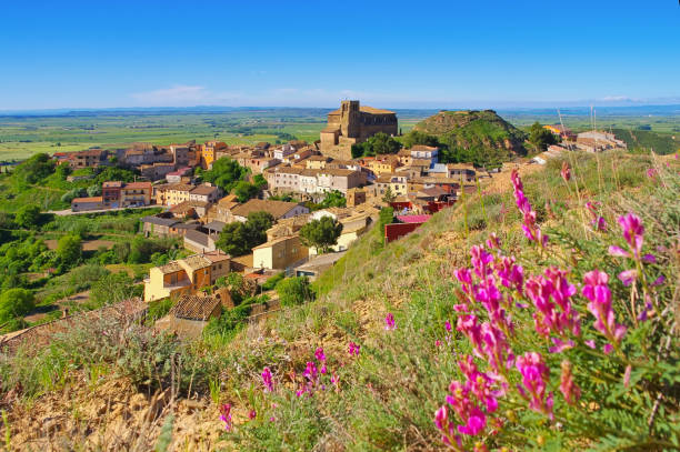 istock Collegiate Church of Bolea, Aragon 2107477028