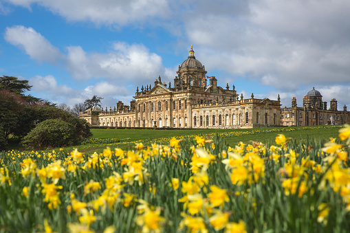 Castle Howard, York, UK - March 23, 2024.  A landscape panorama of Castle Howard Stately Home in the Howardian Hills with a flowerbed of daffodils in Springtime on a sunny day