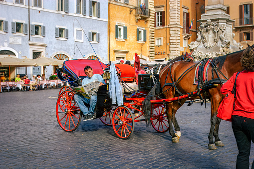 Florence, Toscana/Italy - 24.08.2020: Three hackney carriages, in waiting position, with horses that partly eat straight from a sack.