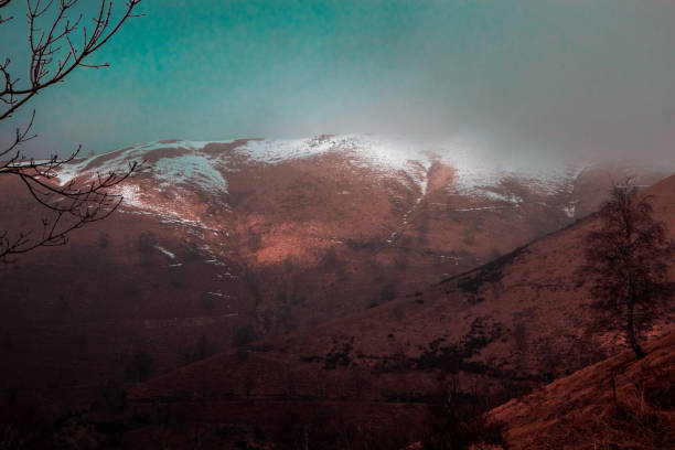 Winter setting: sleeping naturel with bare trees and fog. Mottarone mountain, Piedmont - Italy.