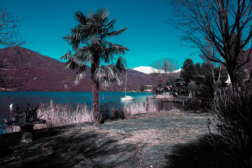 Charming view of the lake in a winter morning, Massone mountain in the background (Lake Orta - Italy).