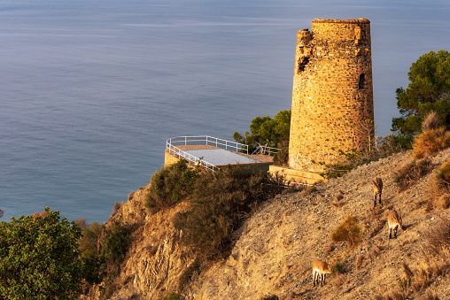 Torre del pino, old watchtower in the Cliffs of Maro-Cerro Gordo Natural Park, Nerja, Malaga.