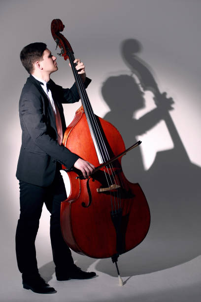 Double bass player playing contrabass Isolated image on white background. Portrait