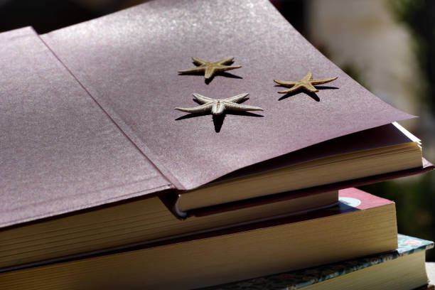 Summer memories with three little dry starfish on the open book