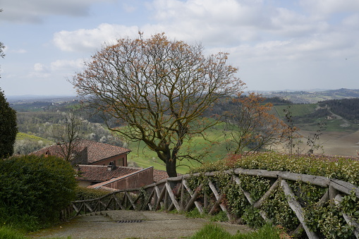 Monferrato - Piedmont. Panoramic view