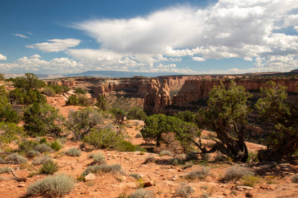 Scenery of Colorado National Monument, Colorado, USA