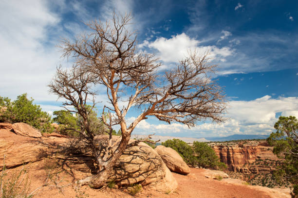 Scenery of Colorado National Monument, Colorado, USA