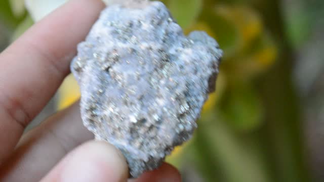 Pyrite in calcite on the garden