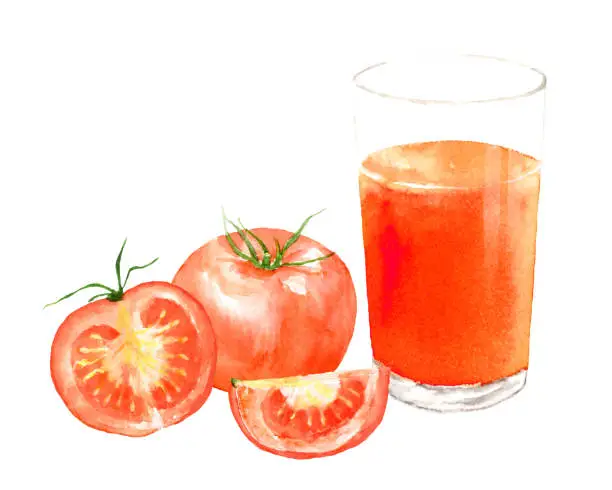 Vector illustration of Watercolor painting of tomatoes and tomato juice