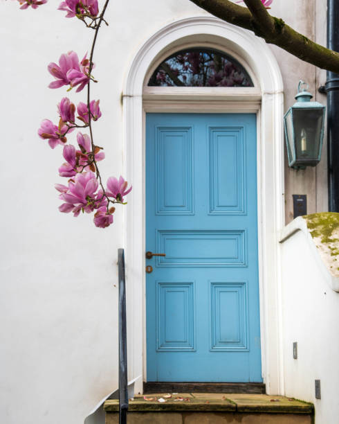 istock Blue door with pink magnolia blossoms 2107878380