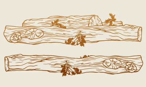 Vector illustration of Logs Forest Trees Lying Sepia