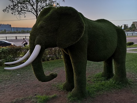 Elephant made of grass