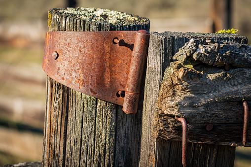 Rusted hinge on weathered corral fence post