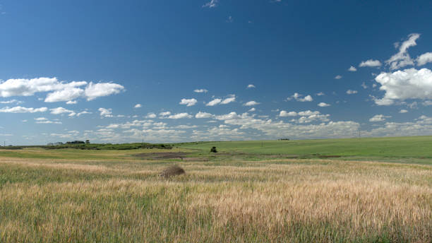 istock cultivated field under the blue sky with white clouds 2108005327