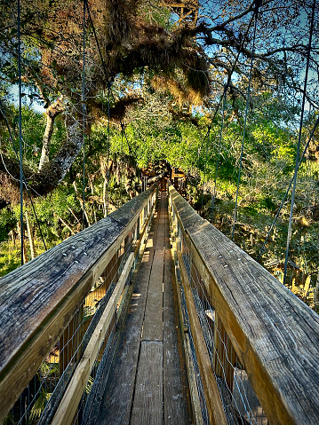 Elevated wooden pedestrian bridge in Florida's  Myakka River State Park