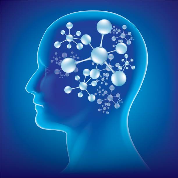 ilustraciones, imágenes clip art, dibujos animados e iconos de stock de dibujo gráfico de una molécula que se encuentra dentro de la cabeza de una persona. - brain human spine neuroscience healthcare and medicine