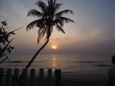 Silver, white, gray, turquoise water and clouds, golden lights and tons of black-green trees and golden yellow and orange sun and fences are used as the background.