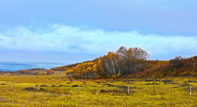 Beautiful grassland natural landscape in autumn