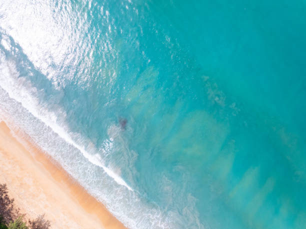 istock Top view beach with waves crashing on sandy shore,Beautiful waves sea surface in summer seascape background,Amazing beach colorful water background 2108353763