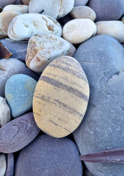istock Strip rock at a sea coast, beach coastline 2108396706