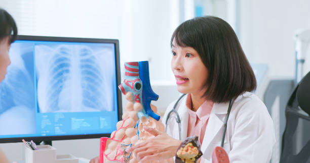 asian doctor explain lung alveoli