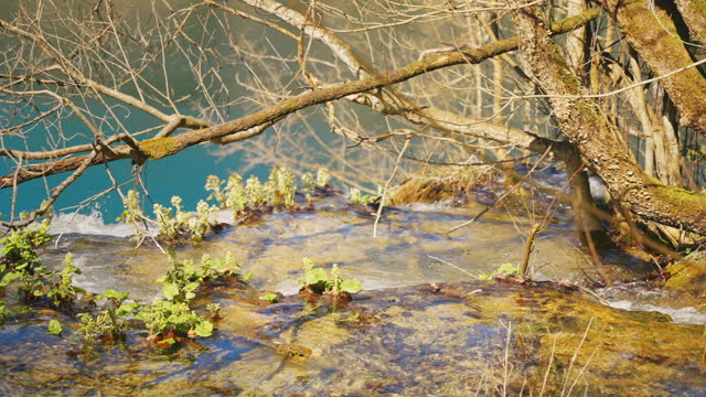 SLO MO Picturesque View of Fresh River Water Flowing in Plitvice Lakes National Park on Sunny Day