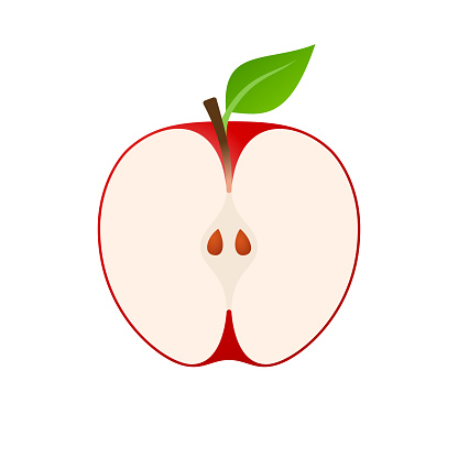 Vector cut in half apple. Stylised minimal design made from simple gradients. Carefully layered and grouped for easy editing.