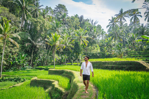 Young man at Tegalalang rice terrace in Bali