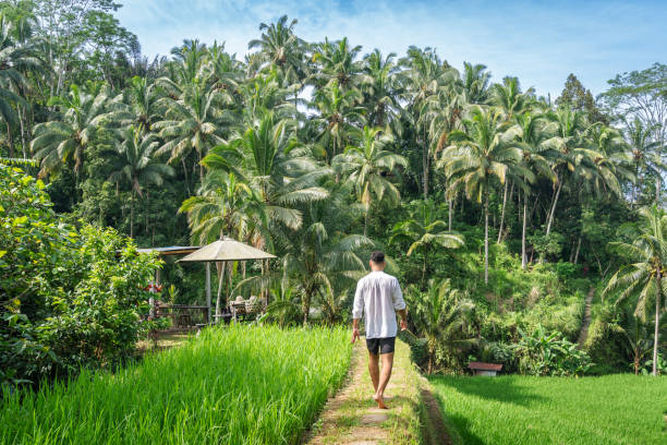 istock Young man at Tegalalang rice terrace in Bali 2108554932
