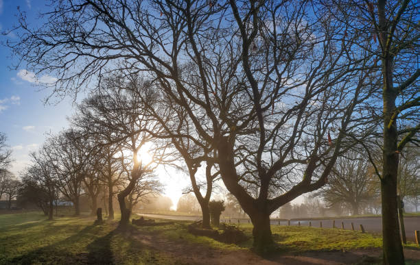 istock Foggy morning sunrise in Surrey England 2108567740