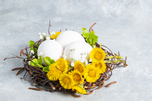 Easter composition in a natural style. Spring flowers arrangements with yellow flowers Tussilago farfara and eggs in the nest. creative floral arrangements. side view