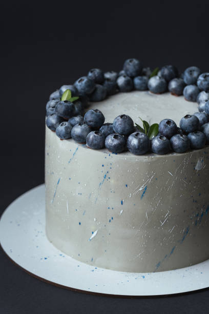 Cute chocolate cake with grey chocolate frosting decorated with colorful sprays and blueberries on top. Black background