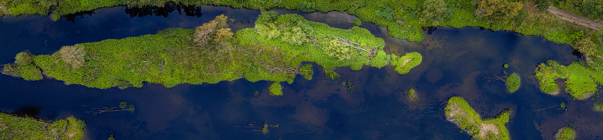 Green mini islands in a deep blue river