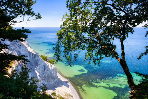 Summer at the white cliffs of Møns Klint in the Danish part of the Baltic Sea