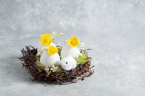 Easter composition in a natural style. Spring flowers arrangements and eggs and easter bunny in the nest. creative floral arrangements. side view