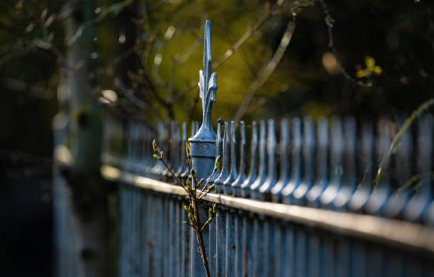 Old metal fence and first buds of a shrub in the old garden. Close-up with shallow depth of field in the evening sun in March.