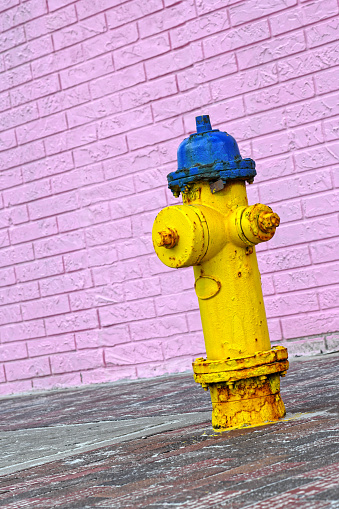Fire hydrant on an urban Florida area.