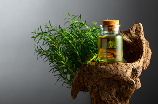 Rosemary essential oil and fresh rosemary with old snag on a stone background. Copy space.