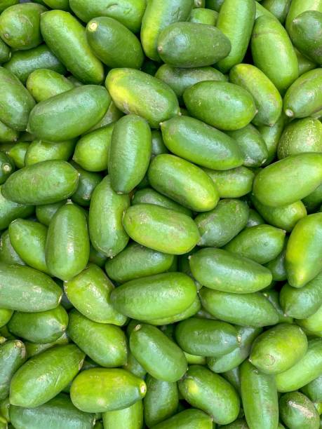 istock Pile of fresh green lemons. 2108747246