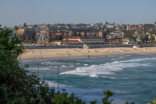 Iconic Bondi Beach and Bondi Pavilion, in Sydney, Australia. People in the sand, water and carrying surf boards. Green shrubs in the foreground.
