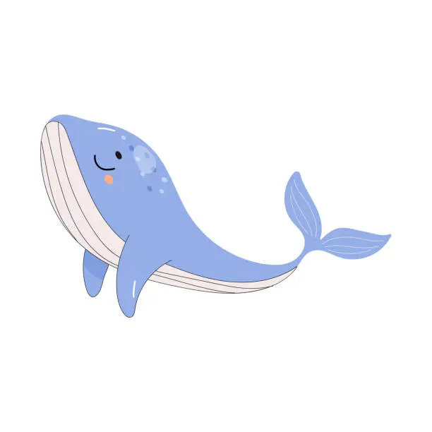 Vector illustration of cute baby whale blue, set on white background. Underwater world.