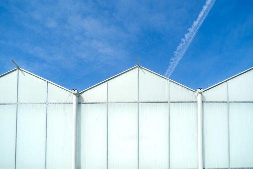 exterior of a commercial greenhouse against a blue sky