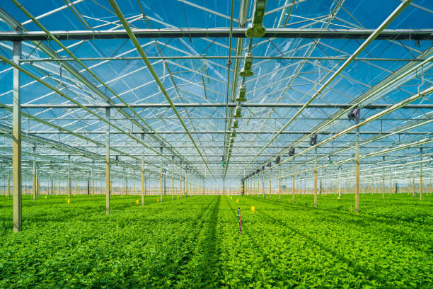 1,000+ Free Greenhouse & Nature Images - Pixabay