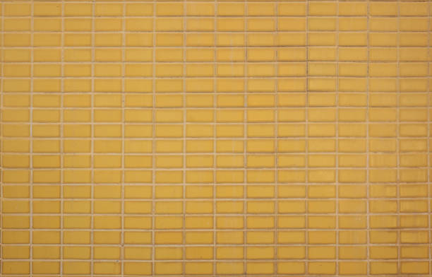 The sun shines on the yellow leather anti-collision wall of the indoor sports hall