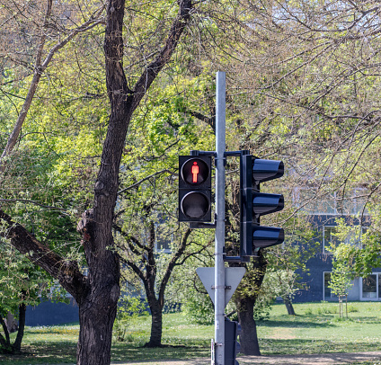 Traffic light for pedestrains on red light.