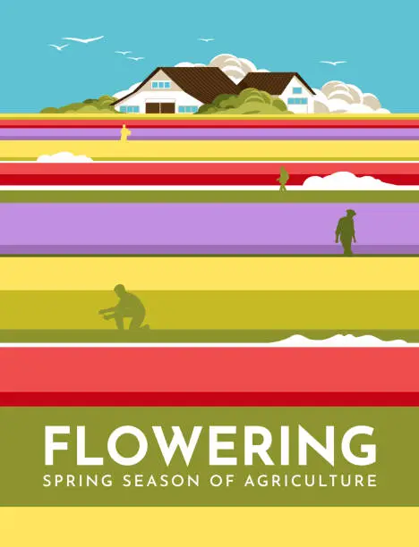 Vector illustration of Spring blooming field with working people. house on the horizon. Flower season minimalistic poster. Vector flat illustration