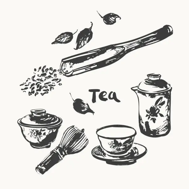 Vector illustration of Hand drawn ink sketch of teapot, cups, leaves, whisk, scoop traditional japanese sumi-e style.